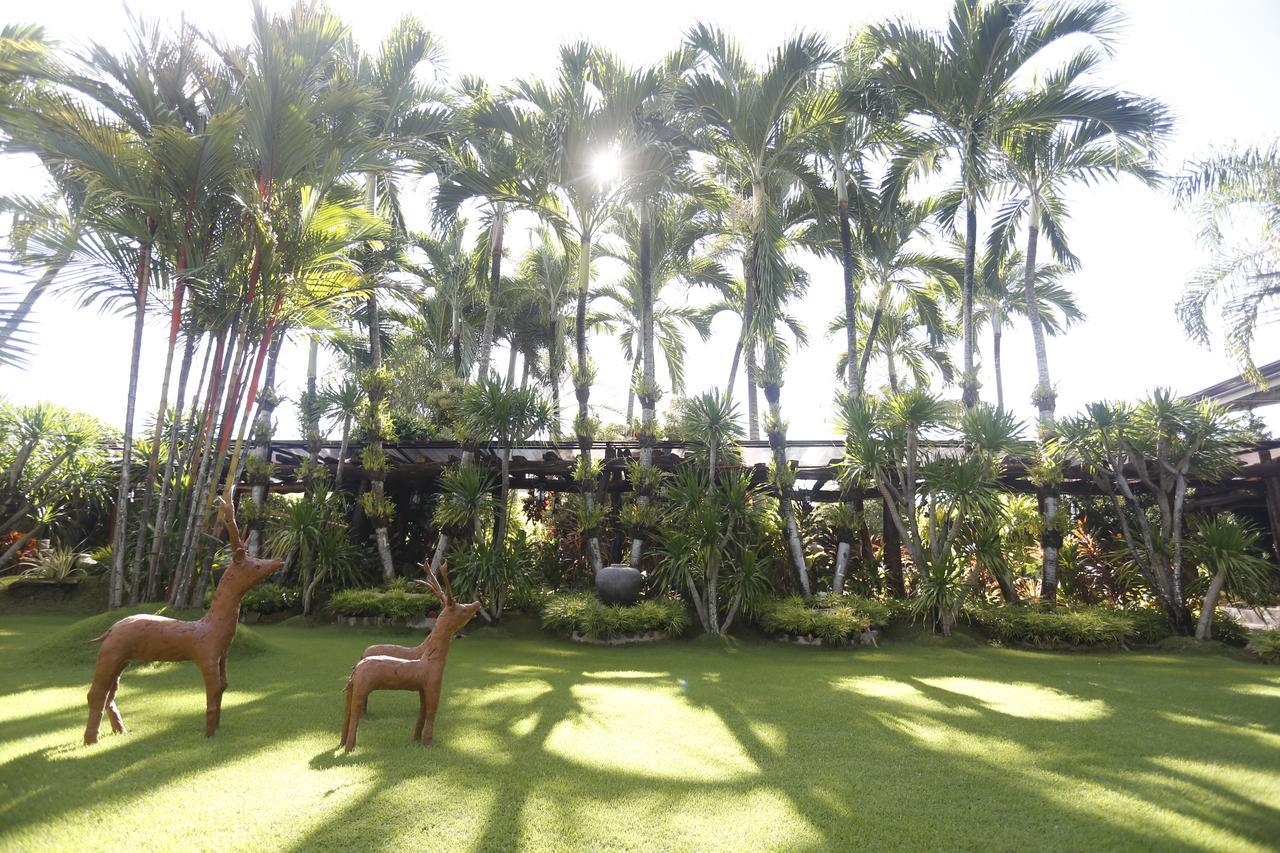 Bed and Breakfast Victoria'S Haven Dumaguete City Екстер'єр фото